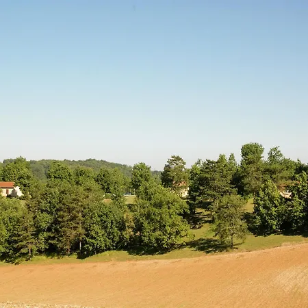 Dom wakacyjny Holiday Home In Salignac With Pool, Cleaning Included Salignac Eyvigues